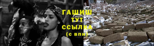 СК Сосновый Бор