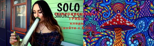 индика Володарск